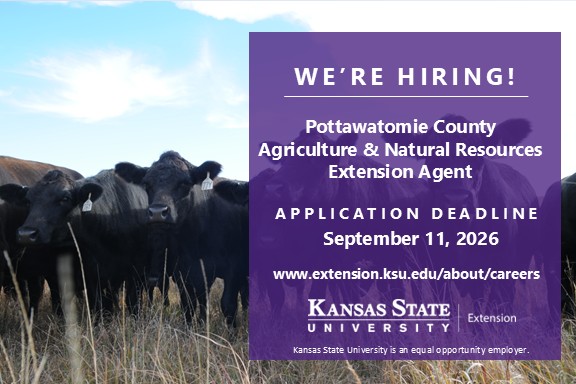 We are hiring